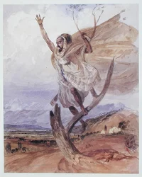 Ein Araber hält Wache in einem Baum, Algerien