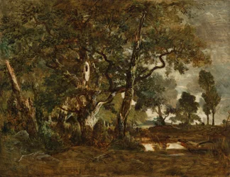 Wald von Fontainebleau, Gruppe hoher Bäume mit Blick auf die Ebene von Clair-Bois am Rand von Bas-Bréau