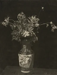 Die Agonie der Blumen (Schwarz-Weiß-Version)