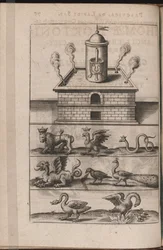 Illustration für Tripvs avrevs, hoc est, Tres tractatvs chymici selectissimi.., 1618