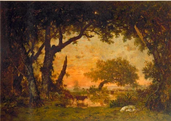 Ausgang des Waldes in Fontainebleau, Sonnenuntergang
