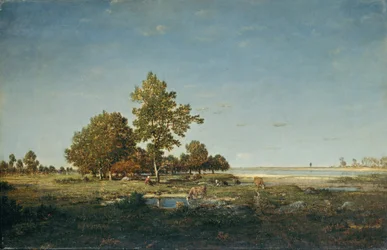 Landschaft mit einer Baumgruppe