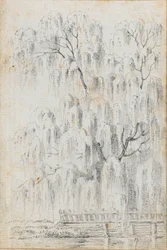 Studie eines Baumes, der über Wasser bei Merton hängt (recto)
