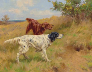 Setter
