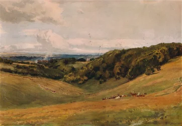 Arundel Park, mit Hirschen, 1880