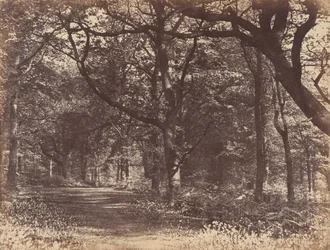 Waldszene, Norton, Cheshire, 1856