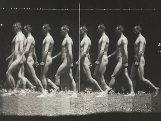 [Mann beim Gehen, stroboskopische Fotografie], 1880er, gedruckt 1930er-40er