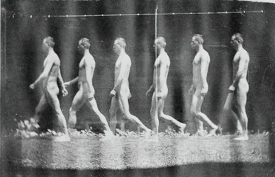 Marey-Rad-Fotografien von Jesse Godley, 1884