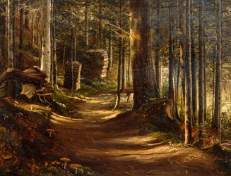 Straße im Nadelwald
