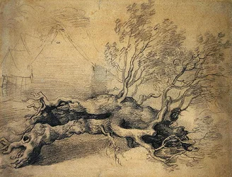 Ein umgestürzter Baum mit Bauerngebäuden dahinter