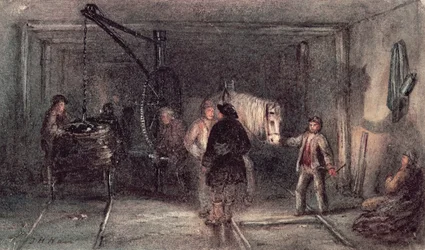 Grubenponys und Wagen