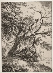 Beispiele der Polyautographie: Landschaft mit einer Eiche