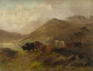 Sommerzeit in den Cheviots