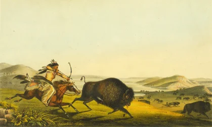 Büffeljagd, 1848