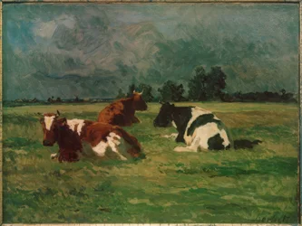 Drei Kühe auf der Weide