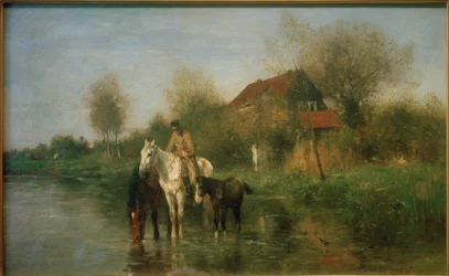 Pferde am Wasser
