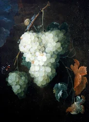 Stillleben mit Trauben, einem Admiral und einer Schnecke