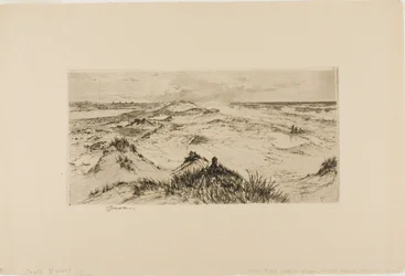 Über die Sanddünen schauen - Easthampton