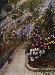 Kew Gardens: Das Gewächshaus
