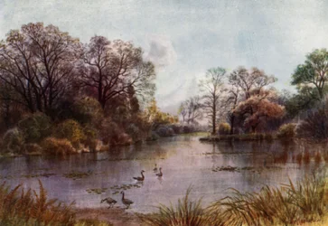 Kew Gardens: Der See