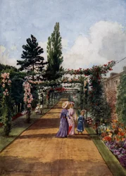 Kew Gardens: Der Rosengarten