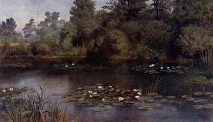 Kew Gardens: Der Seerosenteich (Farblithografie)