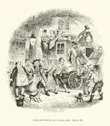 Illustration für Valentine Vox