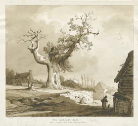 Norbury Dorf - 