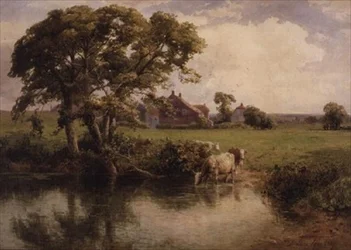 Rinder trinken in der Nähe eines Bauernhauses
