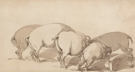 Schweine an einem Trog, ca. 1790