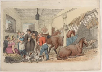 Tafel 36, aus Die Welt im Kleinformat, 1816