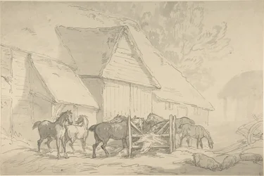 Stallhof mit Pferden