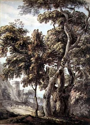 Studie von Bäumen