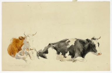 Zwei liegende Kühe (recto); Skizze einer stehenden Kuh (verso)