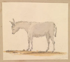 Studie eines Esels, ca. 1820