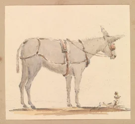 Studie eines Esels mit Zaumzeug und Geschirr, um 1820