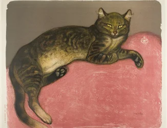 Winter: Katze auf einem Kissen