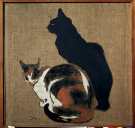 Zwei Katzen