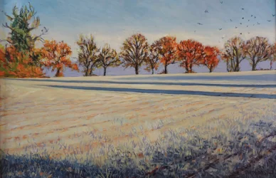 Frost auf dem Feld