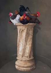 Hühner, Augen nach unten