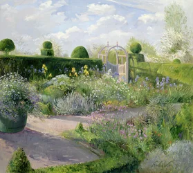Schwertlilien im Kräutergarten, 1995