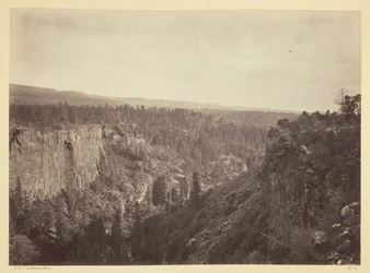 North Fork Canyon, Sierra Blanca Creek, Arizona