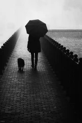 Nebliger Spaziergang mit Hund
