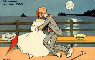 Turteln auf dem Pier