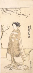 Der vierte Imai Hanshiro in der Rolle O Hatsu in Sakaicho Soga Nendaiki, 2. Monat, 1771