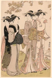 Schönheiten unter einem Ahornbaum, aus der Serie "Eine Sammlung zeitgenössischer Schönheiten der Vergnügungsviertel (Tosei yuri bijin awase)"