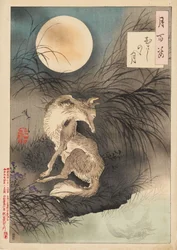 Mond über der Musashi-Ebene