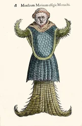 Der Seemönch, imaginärer Fisch und Meeresmonster von Ulisse Aldrovandi (1522-1605), „Monstrorum Historiae“, Bologna 1642
