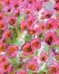 Träumende Rosa Blüten