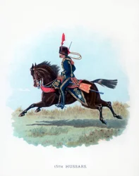 15. Husaren